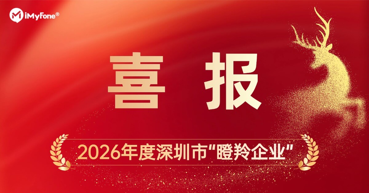 喜报 | 麦风科技荣获深圳市“瞪羚企业”称号！
